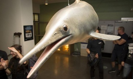 スウェーデンは世界で最も正確な魚竜モデルを作成します